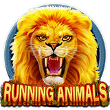 RTP CQ9 WINNERPLAY789